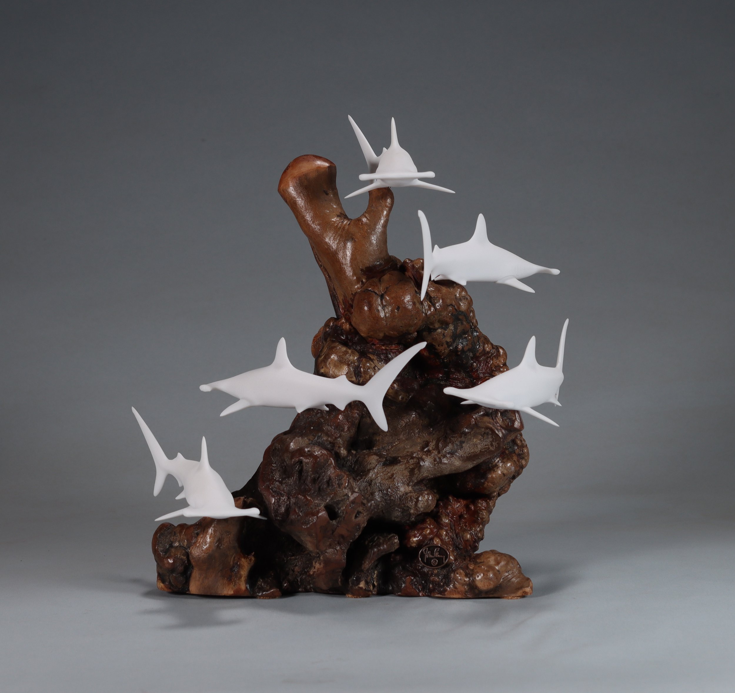 Hammerhead Sharks — All Items — JOHN PERRY STUDIO